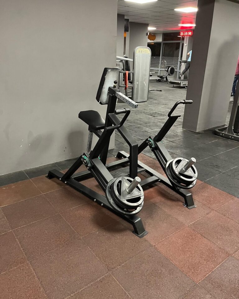 Seated Row Machine - Görsel 2
