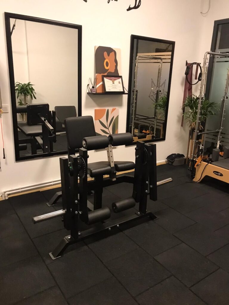 Leg Extension-Curl Combo Pro