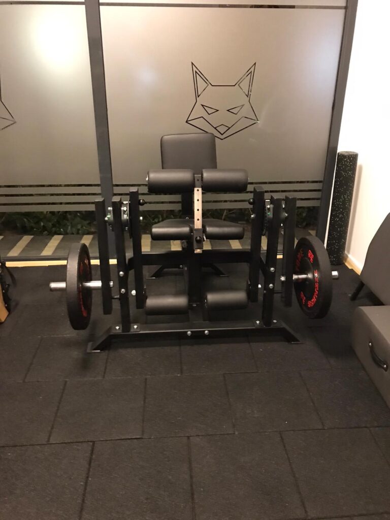 Leg Extension-Curl Combo Pro - Görsel 2