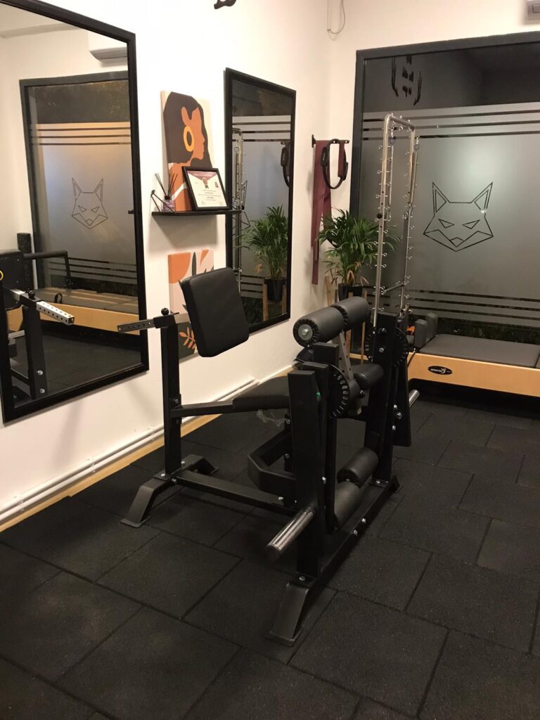 Leg Extension-Curl Combo Pro - Görsel 8